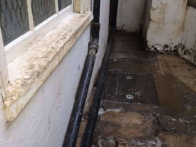 adur-pest-control (17)-kireth-ai